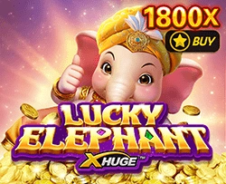 Lucky Elephant X-Huge - HIGHBET33