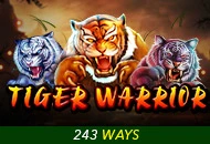 Tiger Warrior - HIGHBET33