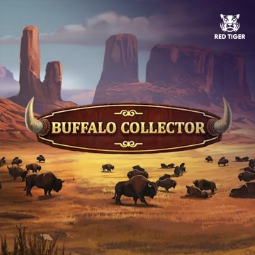 Buffalo Collector - HIGHBET33