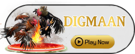 Digman - HIGHBET33